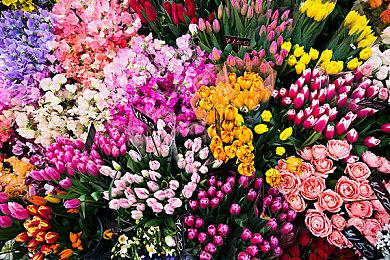 传《夺宝奇兵》零售预购比《龙腾世纪：影障守护者》还低了86%